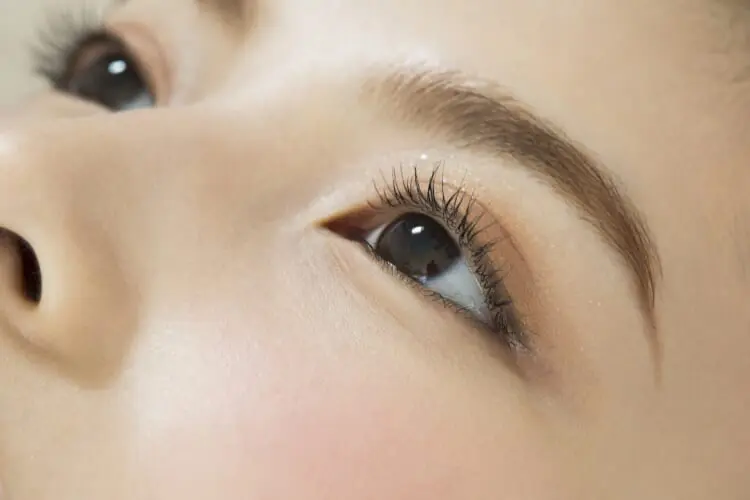 まつ毛 女性